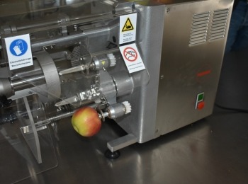 Ličko-senjska županija - Krenula je proizvodnja ličkog čipsa od jabuke
