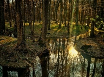 Ličko-senjska županijaBbvedranabereki sunce