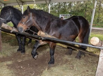 Ličko-senjska županija031018