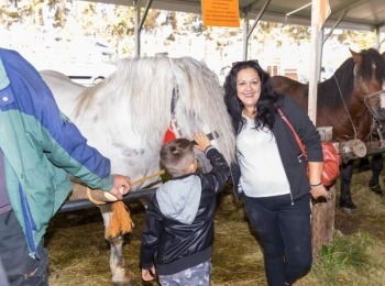Ličko-senjska županija031020