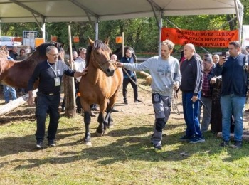 Ličko-senjska županija031021