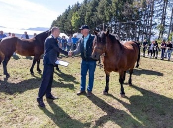 Ličko-senjska županija031022