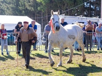 Ličko-senjska županija031025