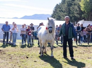 Ličko-senjska županija031028