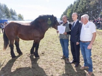 Ličko-senjska županija031029