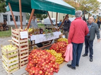 Ličko-senjska županijaDani-krumpira-i-sira-lovinac-10