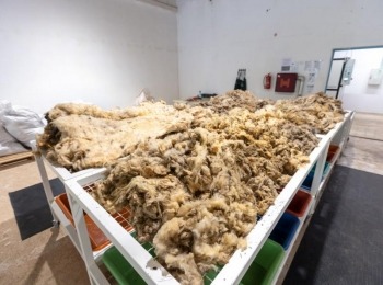 Ličko-senjska županijaWoolee (2)