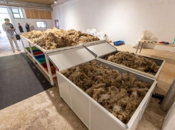 Ličko-senjska županijaWoolee (3)