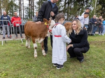 Ličko-senjska županijaKup (54)