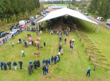 Ličko-senjska županijaKup (62)