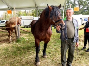 Ličko-senjska županija054a6971