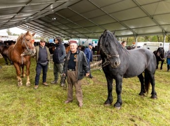 Ličko-senjska županija054a7000