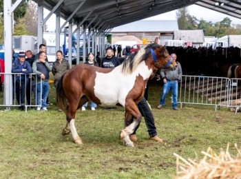 Ličko-senjska županija054a7141