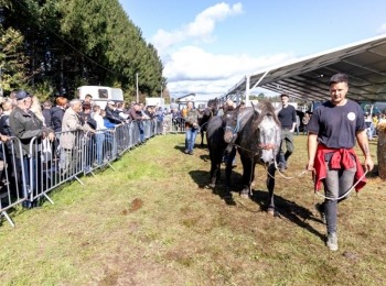 Ličko-senjska županija054a7264