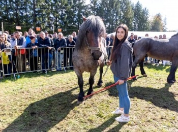 Ličko-senjska županija054a7278