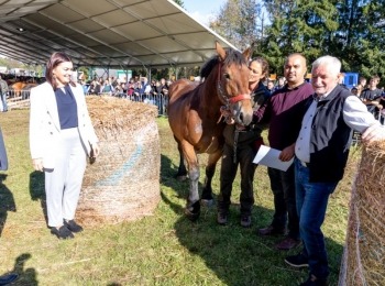 Ličko-senjska županija054a7355