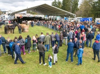 Ličko-senjska županijaDji 20241006114507 0009 d
