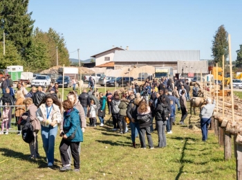 Ličko-senjska županijaStocna otvorenje-24