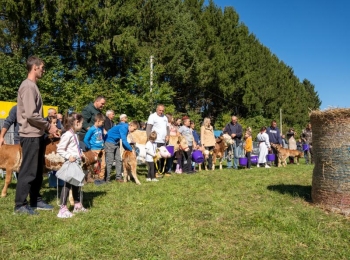 Ličko-senjska županijaStocna otvorenje-53