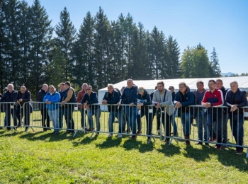 Ličko-senjska županijaStocna otvorenje-55
