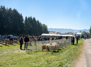 Ličko-senjska županijaStocna otvorenje-58