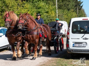 Ličko-senjska županijaStocno sajmiste (12) (1)
