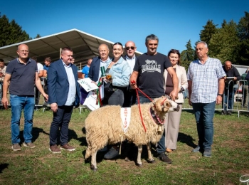 Ličko-senjska županijaStocno sajmiste (49) (1)