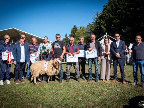 Na stočnom sajmištu u sklopu Jeseni u Lici održana 16. izložba i dodijeljene nagrade za ličke pramenke