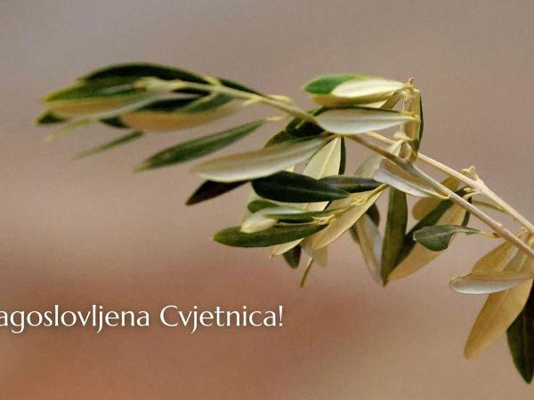 Od srca vam želimo sretnu i blagoslovljenu Cvjetnicu!
