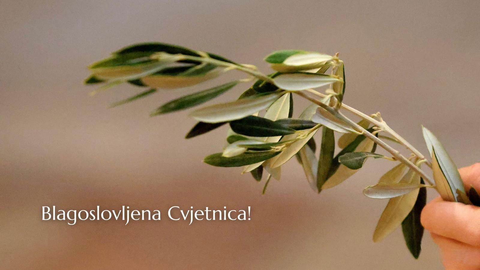 Od srca vam želimo sretnu i blagoslovljenu Cvjetnicu! Od srca vam želimo sretnu i blagoslovljenu Cvjetnicu!